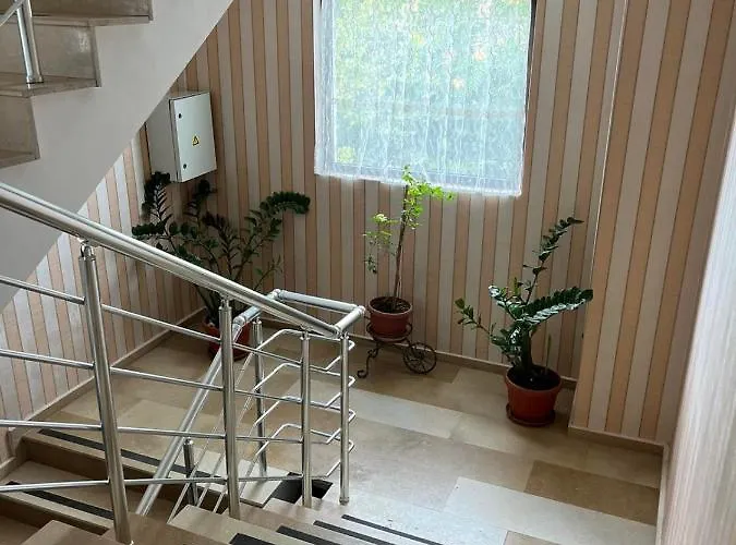 романтика 호스텔 *